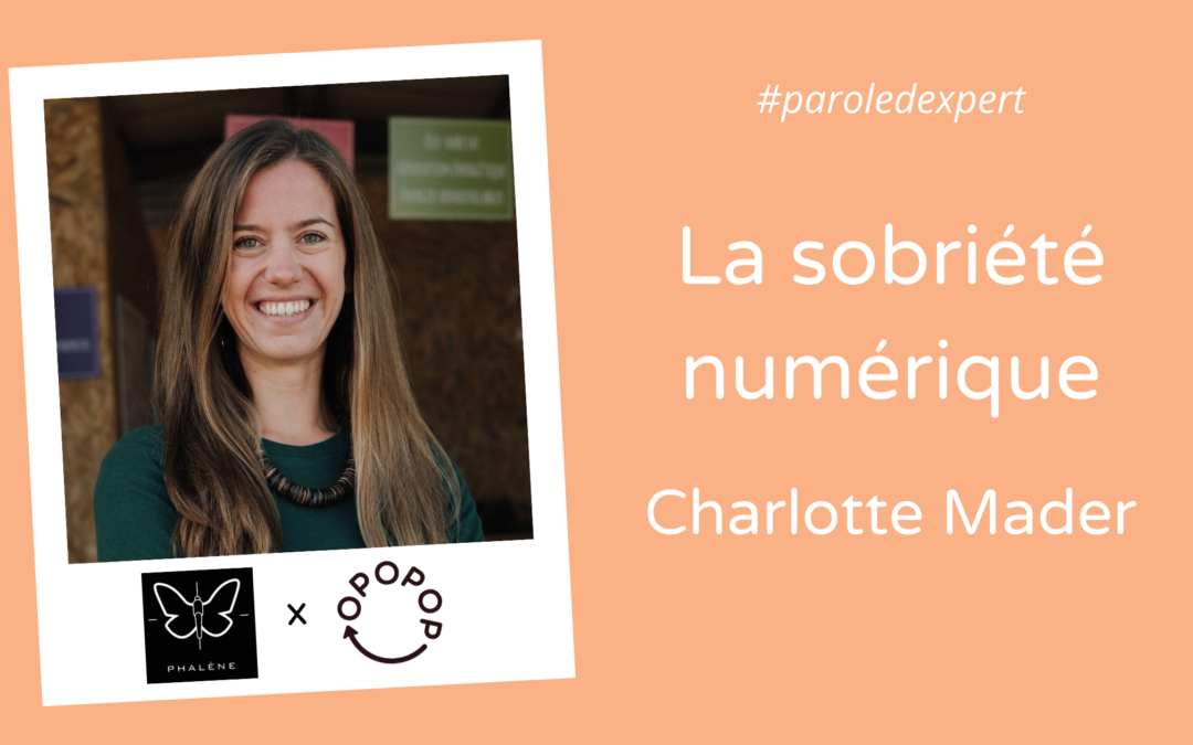 La sobriété numérique