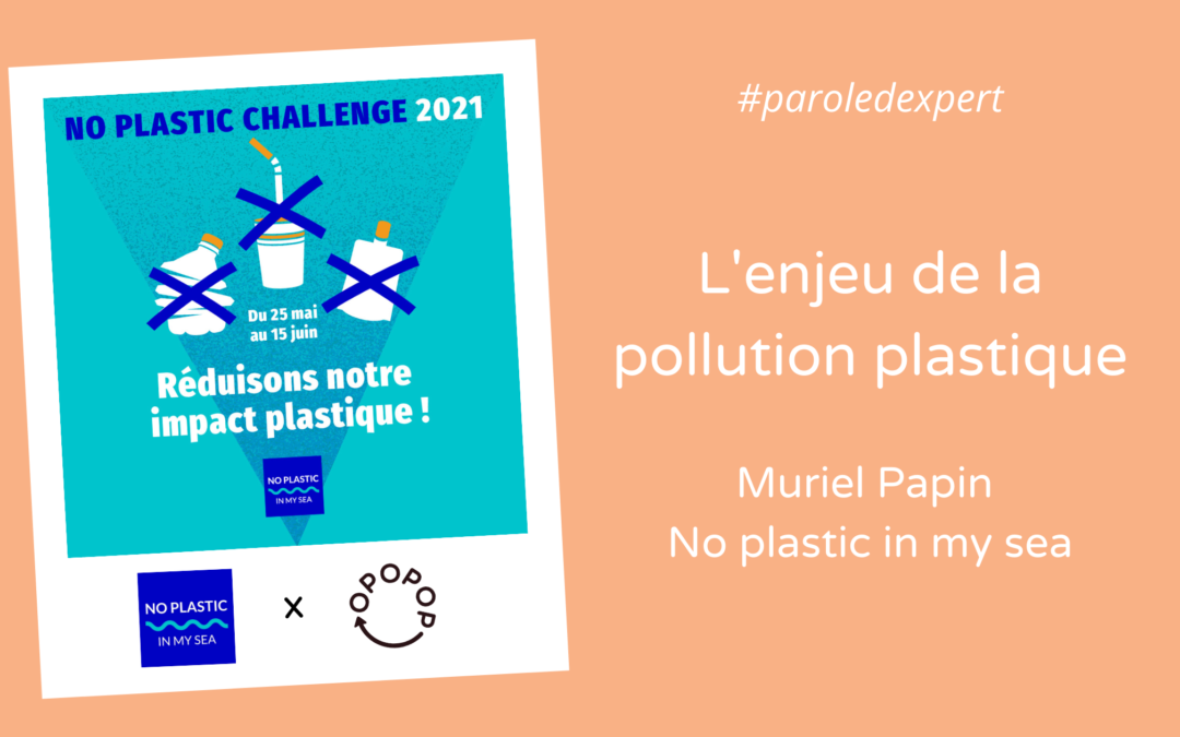 L&rsquo;enjeu de la pollution plastique